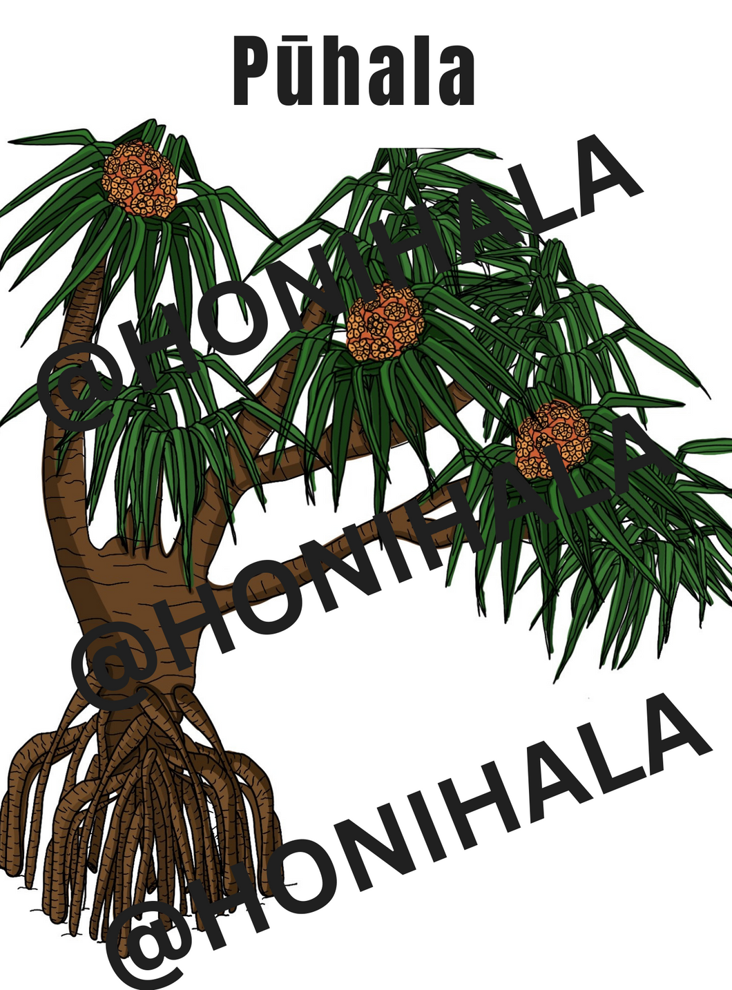 Pūhala Coloring Sheets (Digital Download)