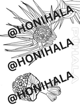 Load image into Gallery viewer, Pūhala Coloring Sheets (Digital Download)
